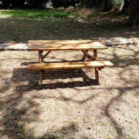 Tente Insolite 1 A 5 Personnes Plouray エクステリア 写真